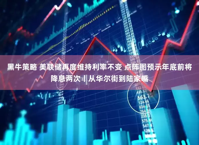 黑牛策略 美联储再度维持利率不变 点阵图预示年底前将降息两次丨从华尔街到陆家嘴