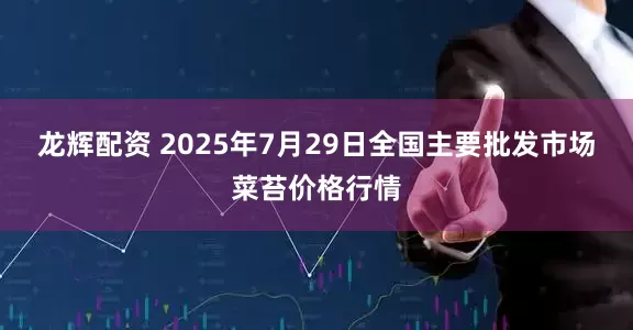 龙辉配资 2025年7月29日全国主要批发市场菜苔价格行情