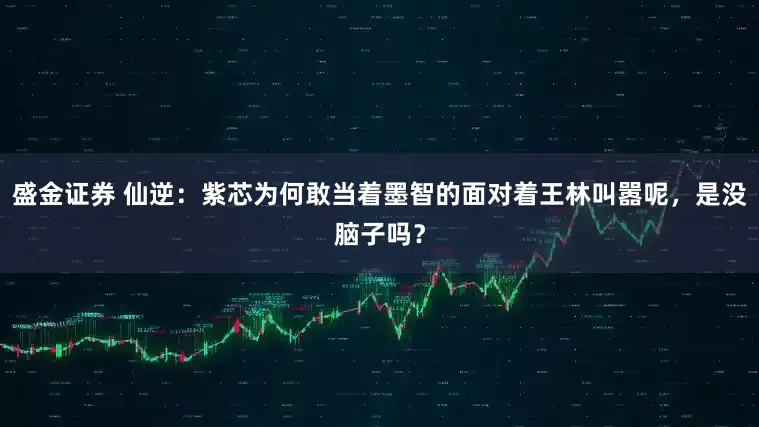 盛金证券 仙逆：紫芯为何敢当着墨智的面对着王林叫嚣呢，是没脑子吗？