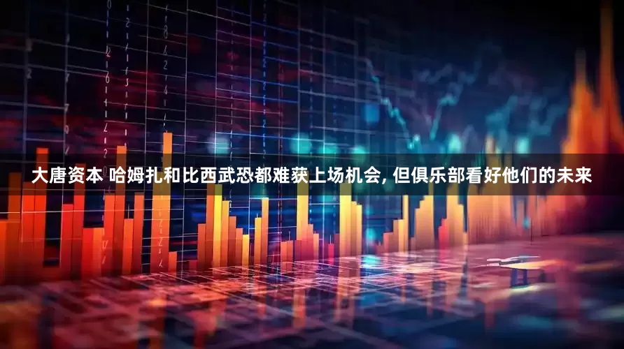 大唐资本 哈姆扎和比西武恐都难获上场机会, 但俱乐部看好他们的未来
